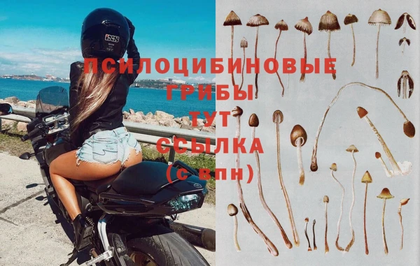 мдпв Кодинск