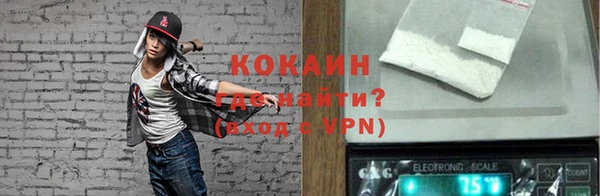 бошки Козельск