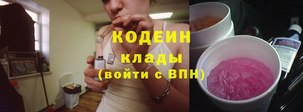 мдпв Кодинск