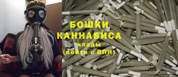 мдпв Кодинск