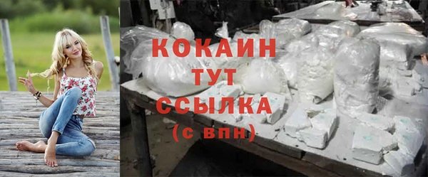 гидра Козловка