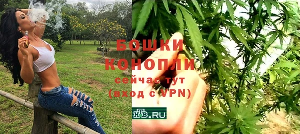 гидра Козловка