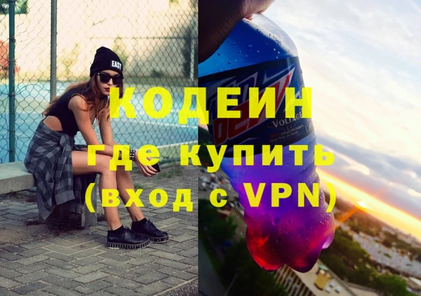 мдпв Кодинск