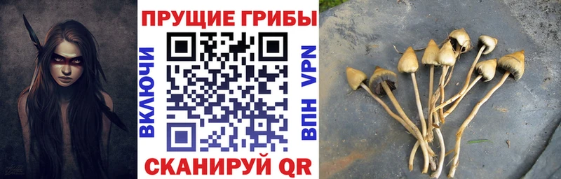 Купить закладки  Дигора  Псилоцибиновые грибы ЛСД 